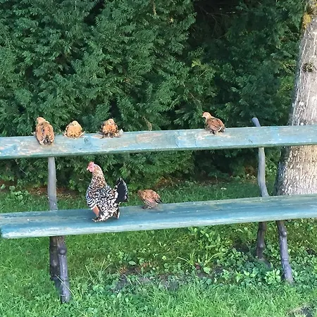 홈스테이 Im Schloss Aufhausen
